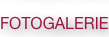 shapeimage_2_link_5